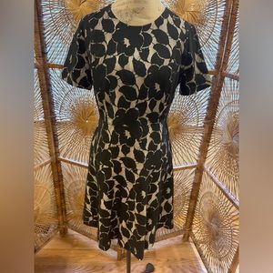 Ann Taylor size 10 petite lace zip dress flared excellent condition short sleeve